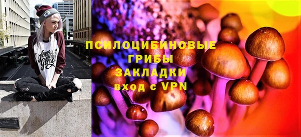 шишки Абинск